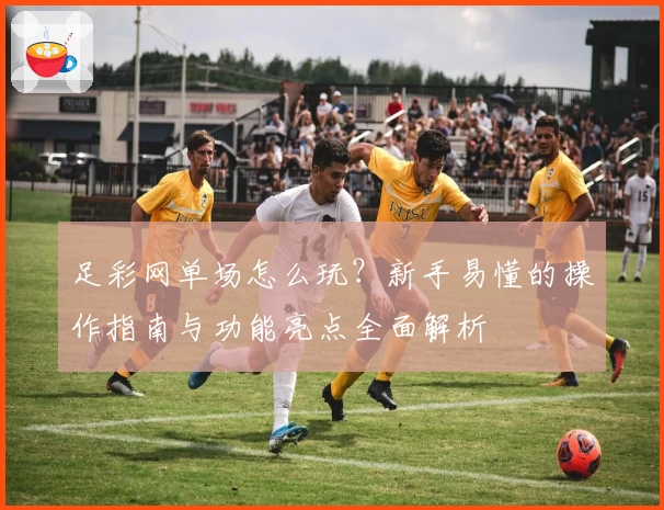 足彩网单场怎么玩？新手易懂的操作指南与功能亮点全面解析