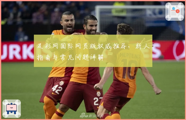 足彩网国际网页版权威推荐，新人指南与常见问题详解
