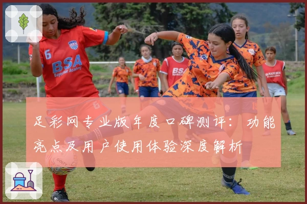 足彩网专业版年度口碑测评：功能亮点及用户使用体验深度解析