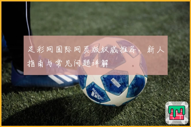 足彩网国际网页版权威推荐，新人指南与常见问题详解