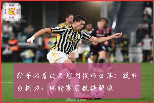 新手必看的足彩网技巧分享：提升分析力，玩转赛前数据解读