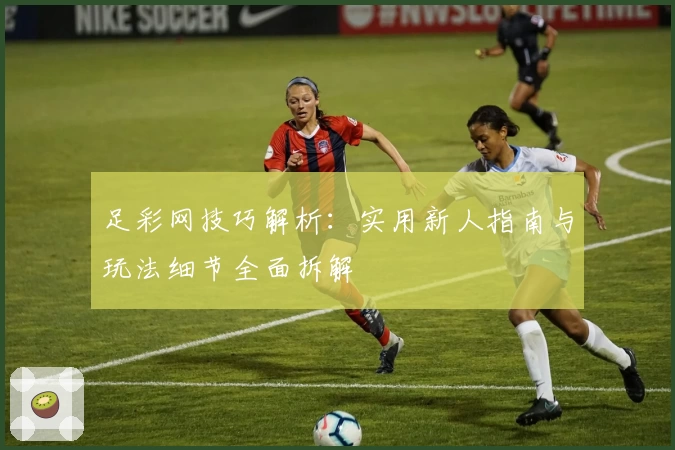足彩网技巧解析：实用新人指南与玩法细节全面拆解